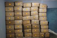 Logran asegurar media tonelada de mariguana