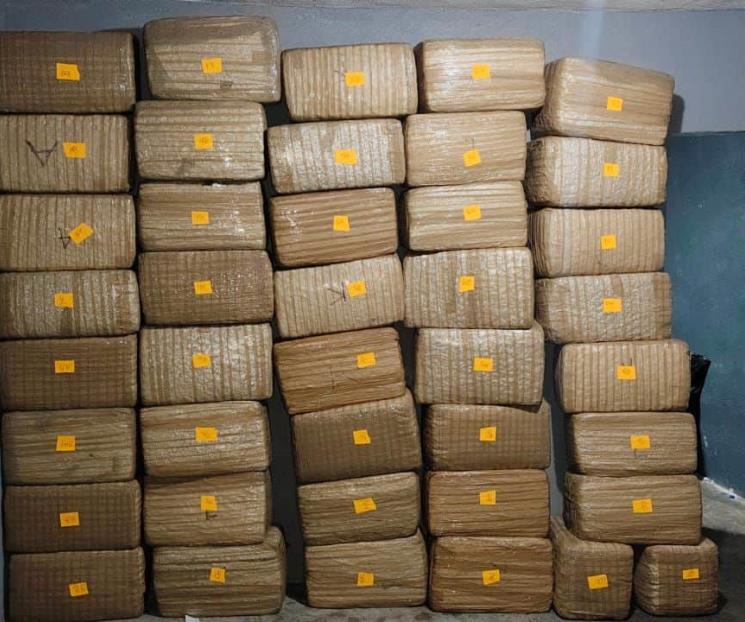 Logran asegurar media tonelada de mariguana Logran asegurar media tonelada de mariguana