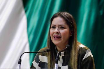 Advierte PVEM que no dar&aacute; &acute;cheque en blanco&acute; ante reforma electoral