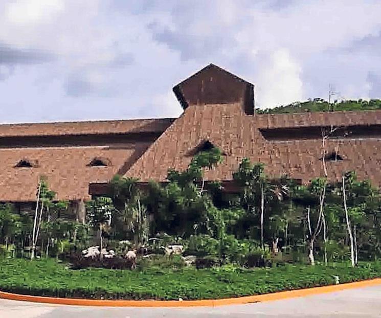 Alerta Sedena por plaga de escarabajo en Hotel Mundo Maya Tulum Alerta Sedena por plaga de escarabajo en Hotel Mundo Maya Tulum