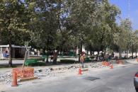 Llenan de árboles la plaza principal de Guadalupe Llenan de árboles la plaza principal de Guadalupe