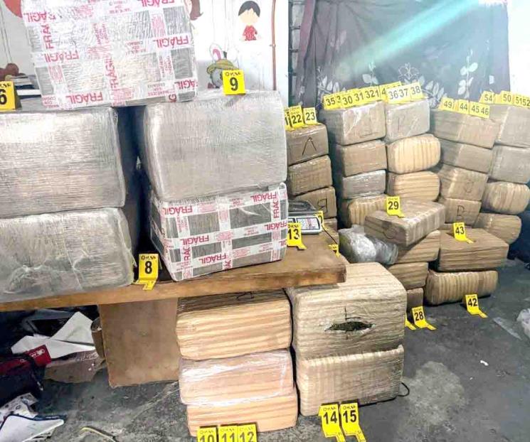 Decomisan 700 kilos de droga tras cateo Decomisan 700 kilos de droga tras cateo