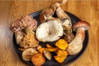 Lo que tienes que saber sobre los hongos comestibles en M&eacute;xico