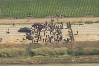 Ante redadas en EU exhortan a SRE fortalecer defensa de migrantes