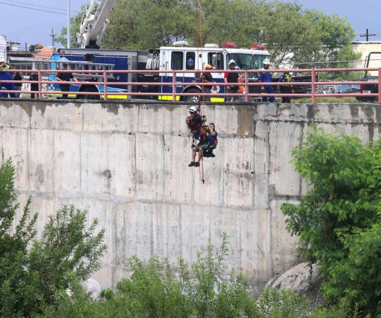 Atrapa a 4 corriente de río y arroyo