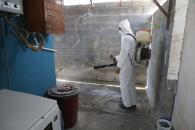 Exhorta Escobedo a reportar zonas con plagas de garrapatas