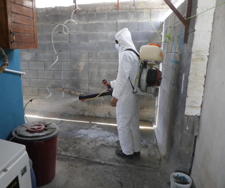 Exhorta Escobedo a reportar zonas con plagas de garrapatas Exhorta Escobedo a reportar zonas con plagas de garrapatas