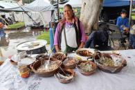 No te pierdas la Expo Feria del Hongo de Senguio 2025 No te pierdas la Expo Feria del Hongo de Senguio 2025