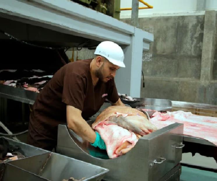 México y Dinamarca refuerzan cooperación en industria de alimentos México y Dinamarca refuerzan cooperación en industria de alimentos