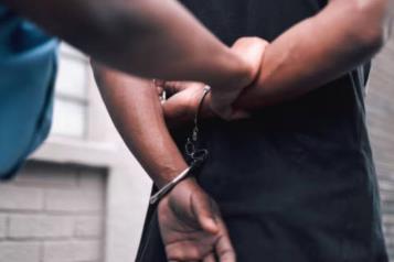 Amnist&iacute;a Internacional llama a revisar Ley sobre el Uso de la Fuerza