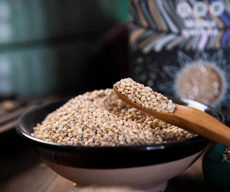 Conoce los beneficios de la quinoa Conoce los beneficios de la quinoa