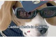 El mundo reacciona en las redes