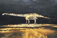 Avala cabildo de SP recibir en comodato fósil de dinosaurio Avala cabildo de SP recibir en comodato fósil de dinosaurio