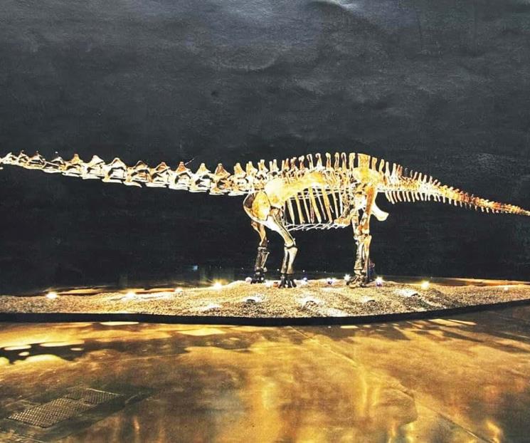 Avala cabildo de SP recibir en comodato fósil de dinosaurio