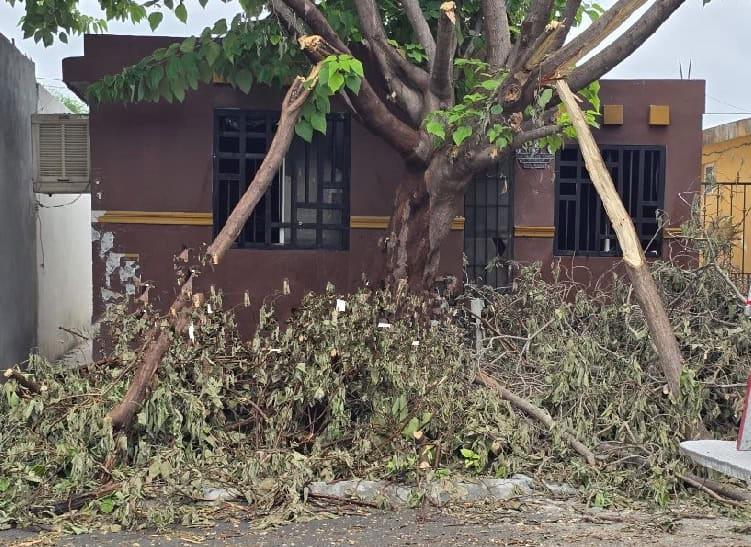 Prende fuego mujer a su vivienda