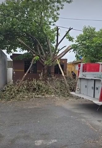 Una mujer que presuntamente sufre problemas de estrés, estuvo a punto de morir intoxicada, al prenderle fuego a su propia vivienda en el municipio de Montemorelos.