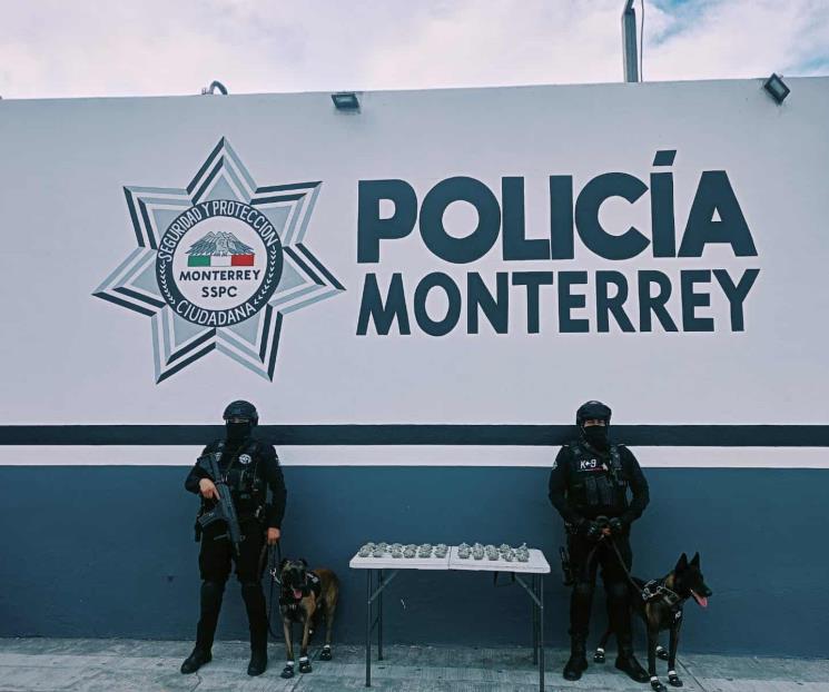 Descubren droga en bolsa Descubren droga en bolsa