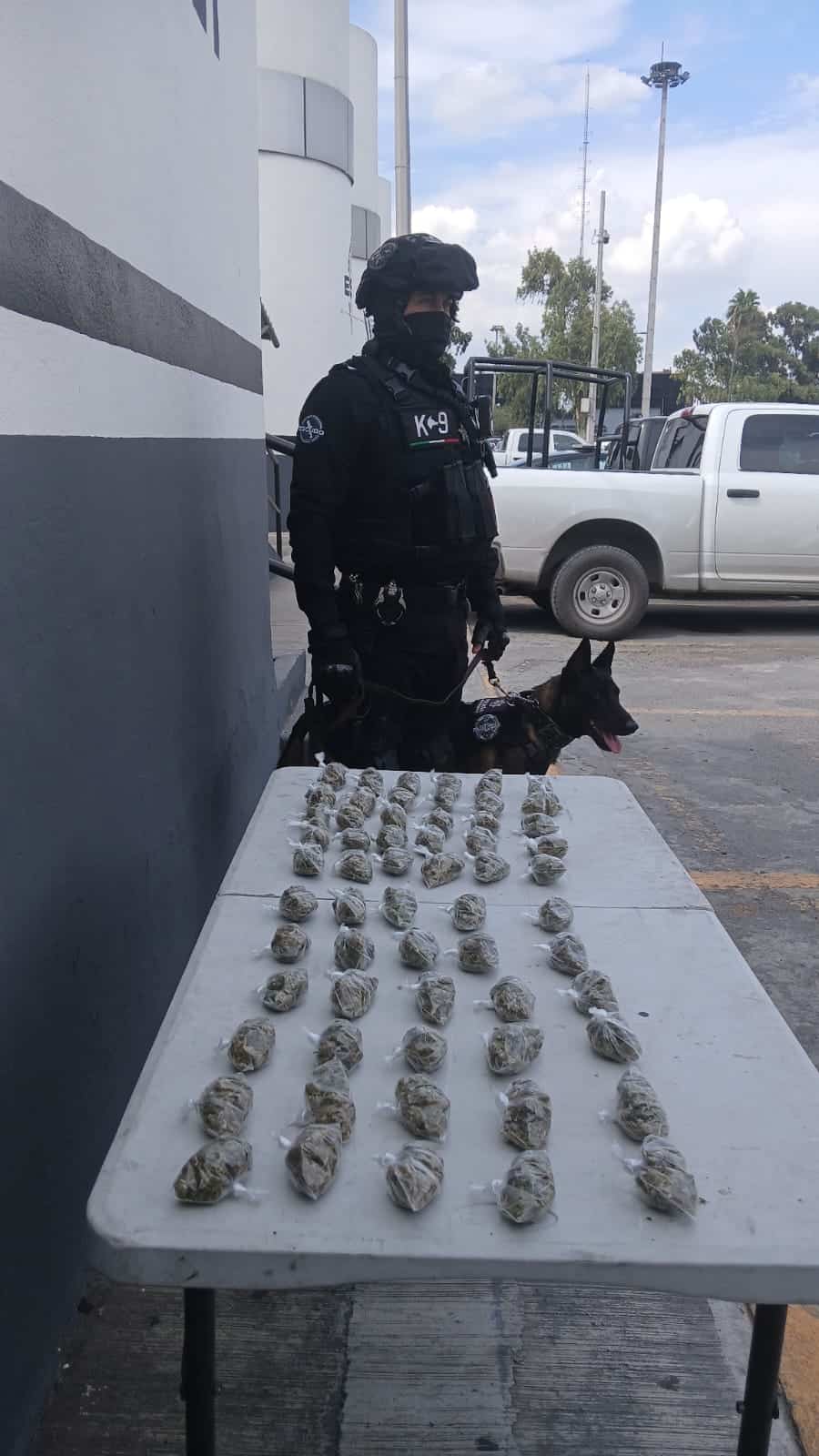 Con apoyo del binomio canino, oficiales de la Policía de Monterrey localizaron una bolsa de plástico que contenía 60 envoltorios con hierba verde con las características de la mariguana, en el centro de la ciudad.