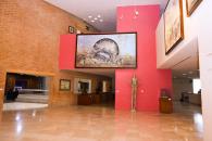 Convoca UANL a artistas a la 7.&ordf; Rese&ntilde;a de las Artes Pl&aacute;sticas