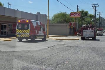 Alarman abejas en Central de Autobuses de Montemorelos