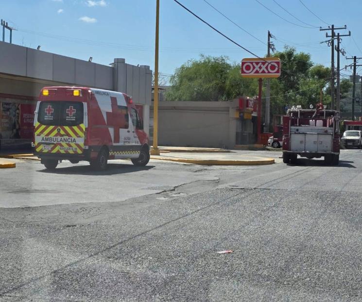 Alarman abejas en Central de Autobuses de Montemorelos
