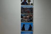 El mundo de los wixárikas, en una exposición El mundo de los wixárikas, en una exposición