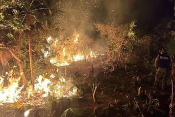 Arrasa incendio con 400 hect&aacute;reas en la Isla de Holbox