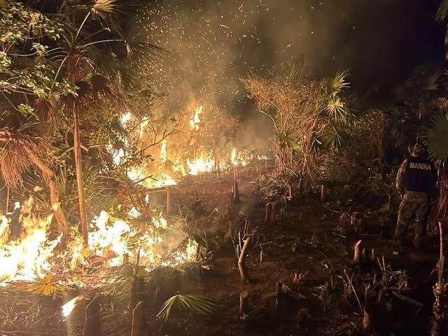 Arrasa incendio con 400 hectáreas en la Isla de Holbox Arrasa incendio con 400 hectáreas en la Isla de Holbox