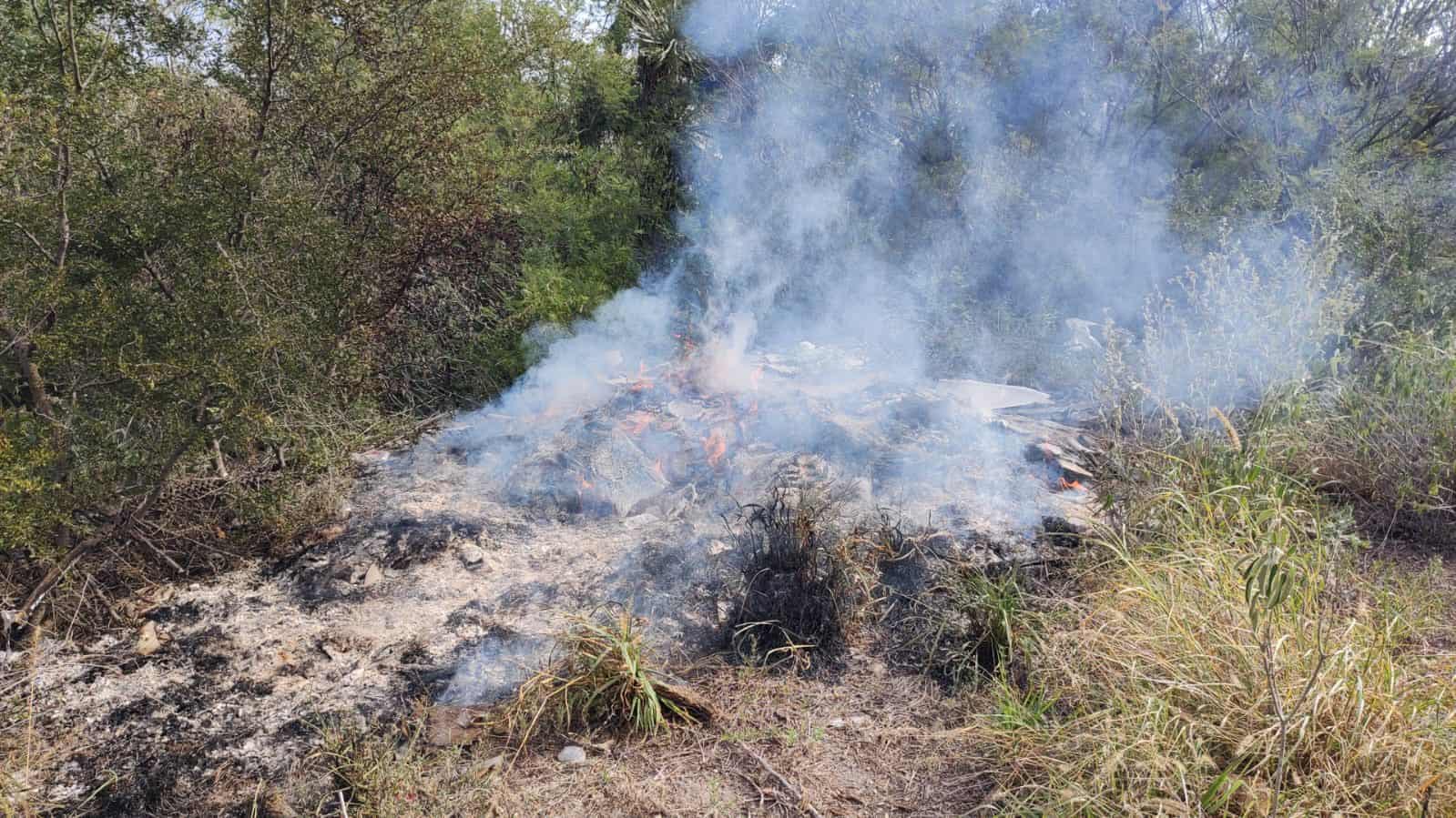 Elementos de la Dirección de Protección Civil del Estado, lograron evitar el incendio de un cerro ubicado en la zona de Puerta del Hierro en esta ciudad.