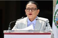 Gobierno de México concede 479 amnistías en los últimos 12 meses Gobierno de México concede 479 amnistías en los últimos 12 meses