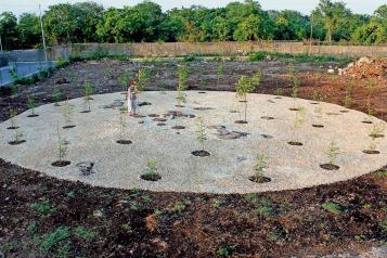 MARCO hace una revisión a la obra de Gerda Gruber