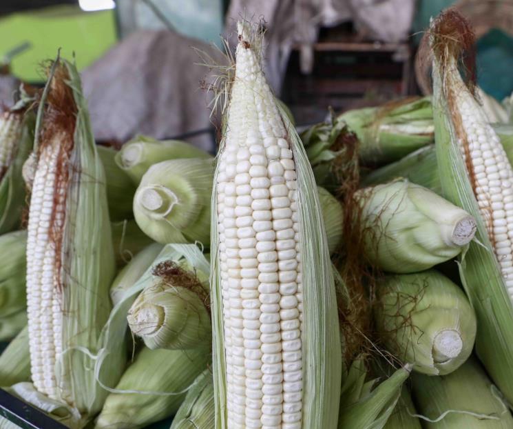 Cuándo y dónde es la Feria Gastronómica y del Elote 2025