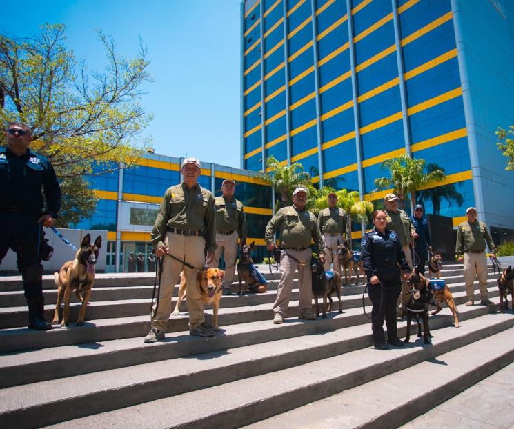 Reconocen programa Binomio K9 a nivel internacional