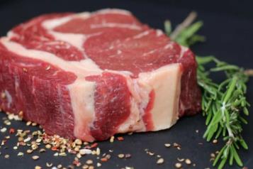 Dispara gusano barrenador precios de ganado y carne