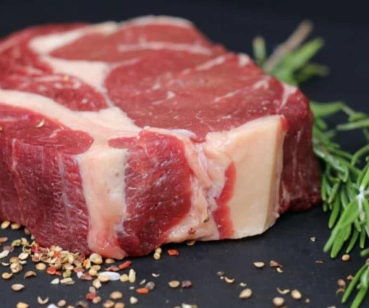 Dispara gusano barrenador precios de ganado y carne