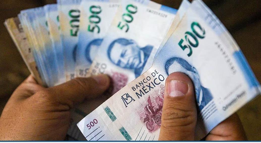 Cuotas al IPAB imponen r&eacute;cord al cierre de 2024