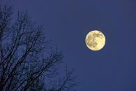 Luna de Cosecha: Lo que debes saber sobre el fenómeno astronómico