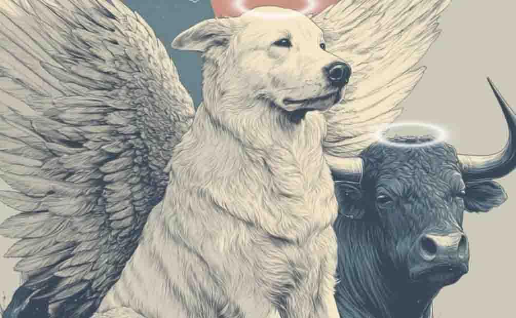 Exigen Activistas justicia para "Nube", perrita que muri&oacute;