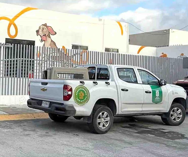 Descartan maltrato en centro de cuidado animal Descartan maltrato en centro de cuidado animal