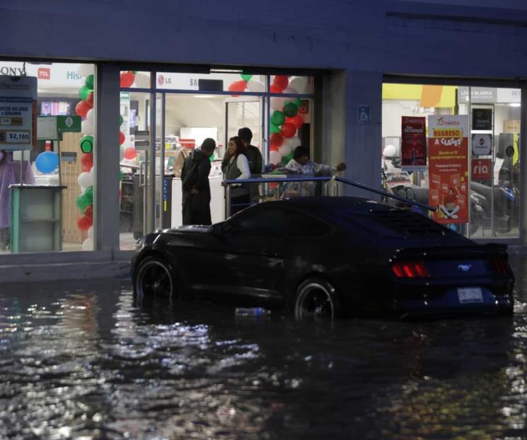 Fuerte lluvia en CDMX deja encharcamientos y &aacute;rboles ca&iacute;dos