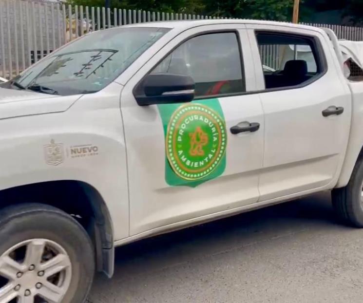Inicia traslado de 70 perros y gatos que tenían en SC