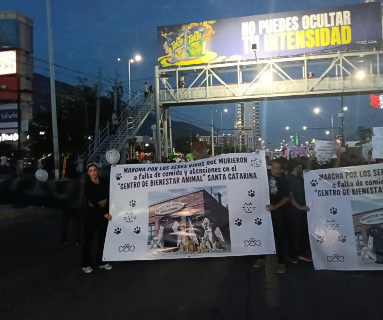 Atribuye Nava a asuntos políticos protesta por los derechos animales