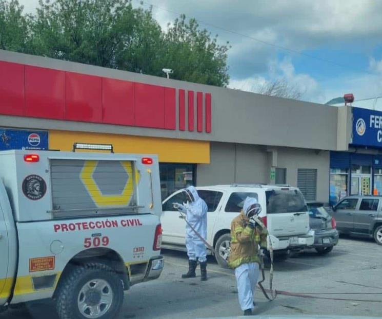 Atacan abejas a tres personas Atacan abejas a tres personas