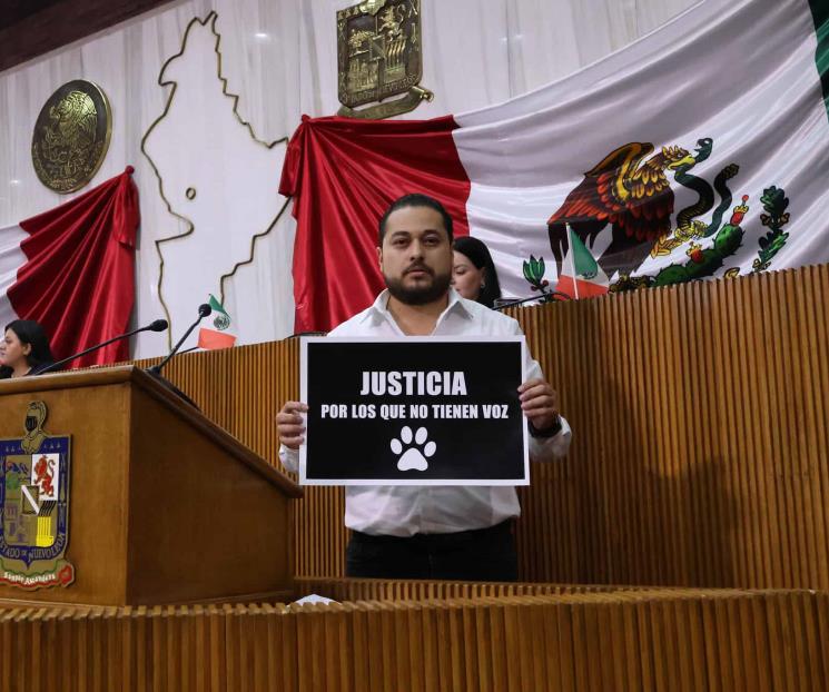 Buscan tipificar como delito grave el maltrato animal