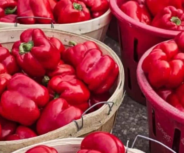 Podr&aacute; M&eacute;xico exportar pimiento morr&oacute;n fresco a Jap&oacute;n
