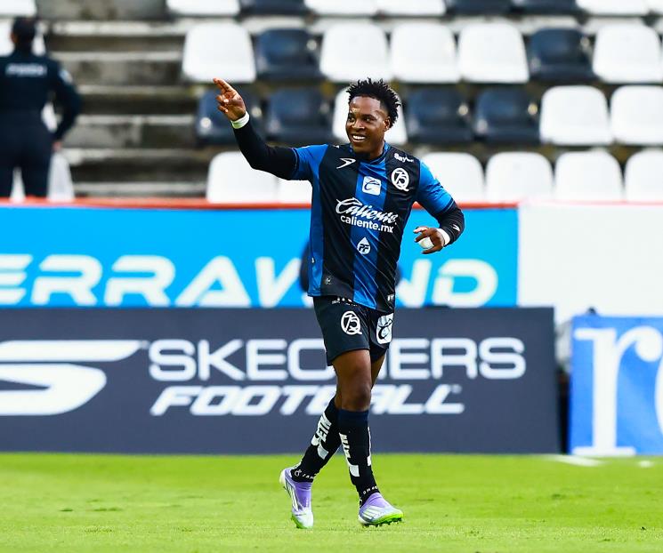 &iexcl;Sorprenden los Gallos!