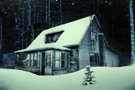 El rinoceronte y el gallo