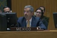 Participará Canciller De la Fuente en asamblea de la ONU