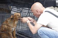 Realizan feria de adopciones Realizan feria de adopciones