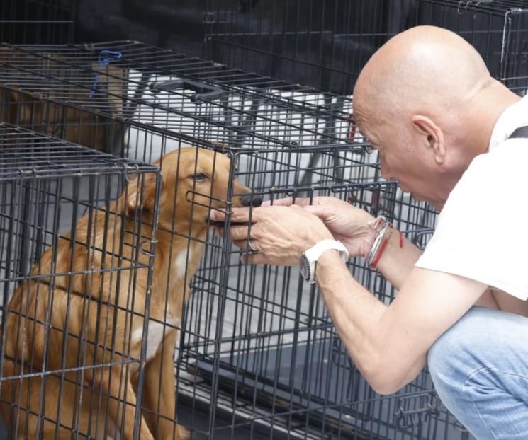 Realizan feria de adopciones